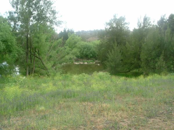 AFFORDABLE RIVER BLOCK Picture 2