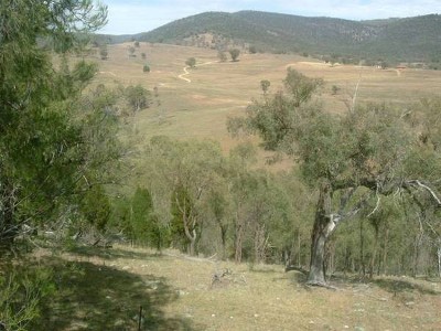 AFFORDABLE RIVER BLOCK Picture AFFORDABLE RIVER BLOCK Picture