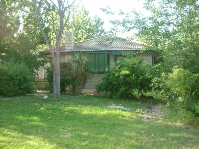 WELL WORTH A PHONE CALL Picture