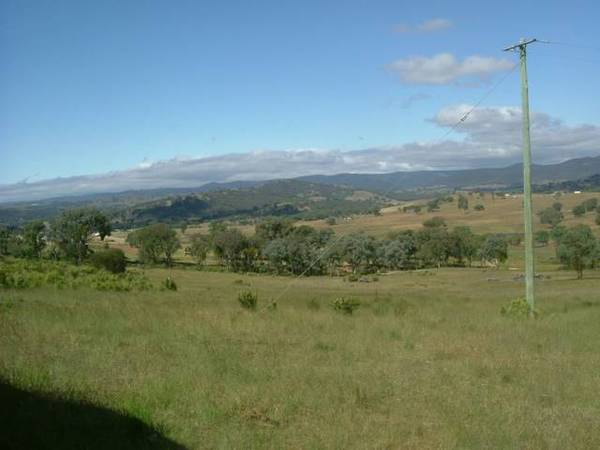 BE QUICK NEARING EXTINCTION ! Picture