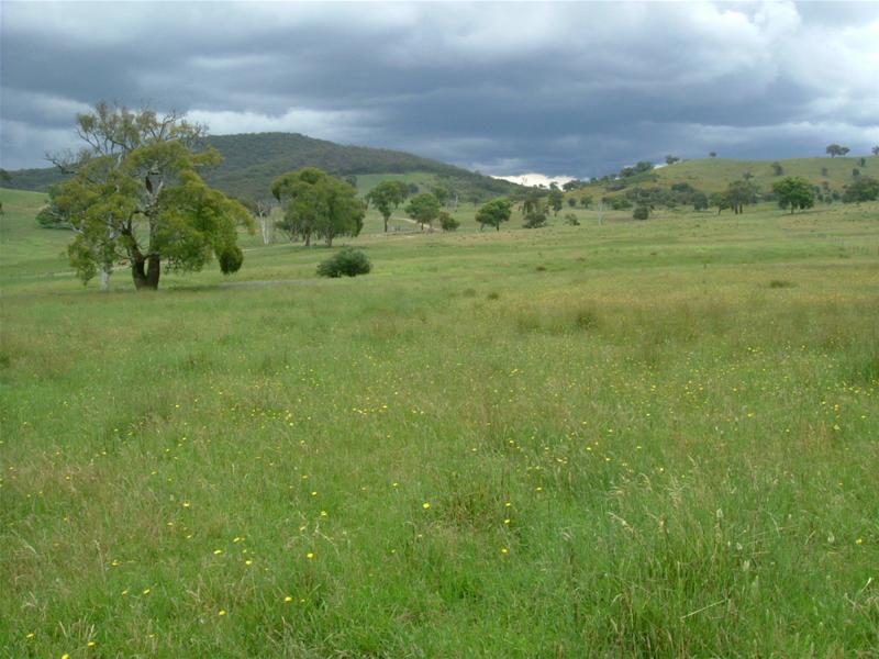 RURAL HEAVEN AT LIMEKILNS Picture 1