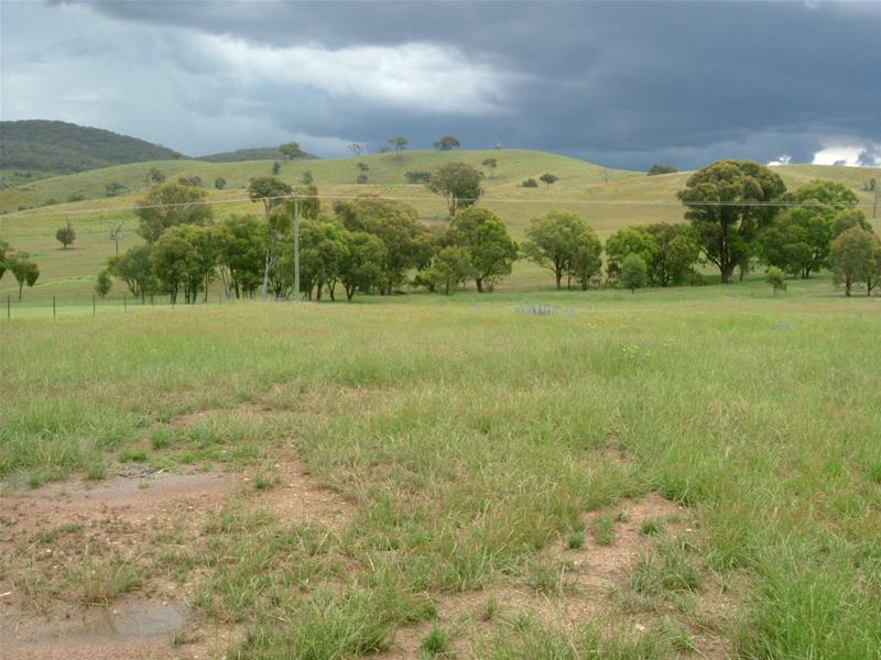 MORE THAN JUST A LIFESTYLE Picture 3