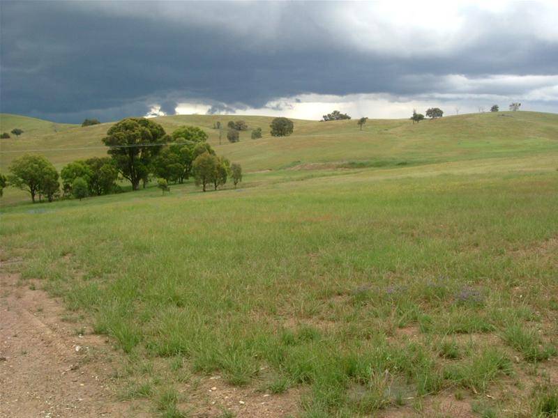 MORE THAN JUST A LIFESTYLE Picture 2