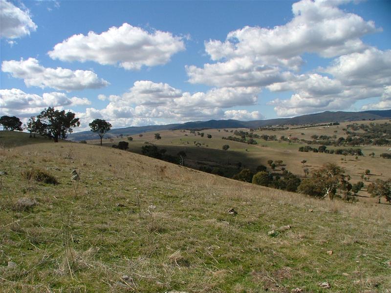 MORE THAN JUST A LIFESTYLE Picture 1