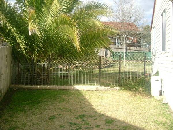 Neat & TIdy Picture 2