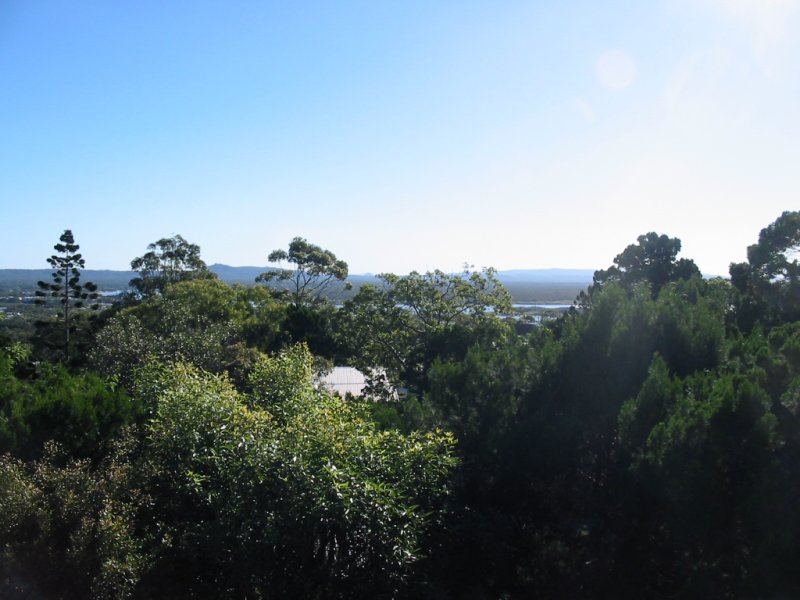 Van Winkle - Noosa Hill Picture 1