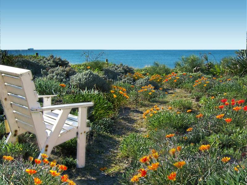 MASSIVE PRICE REDUCTION - VENDOR BOUGHT ELSEWHERE Picture 3