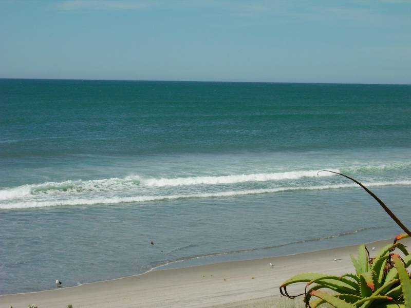 SUN SEA AND SEAGULLS -FURTHER PRICE REDUCTION Picture 3