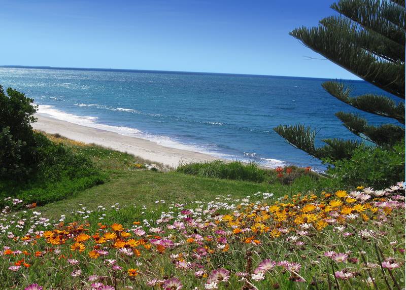 ELEVATED BEACHFRONT BACH WITH GREAT NORTHFACING VIEWS Picture 2