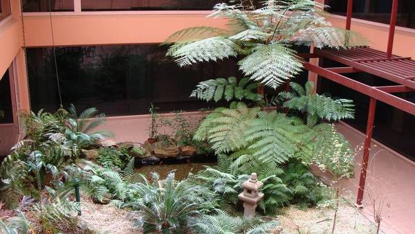 CBD OFFICE Picture 2