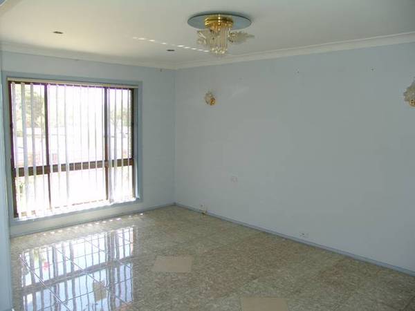 MORE THAN MEETS THE EYE Picture MORE THAN MEETS THE EYE Picture