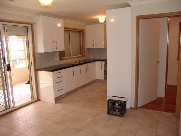 CLOSE TO EVERYTHING Picture CLOSE TO EVERYTHING Picture