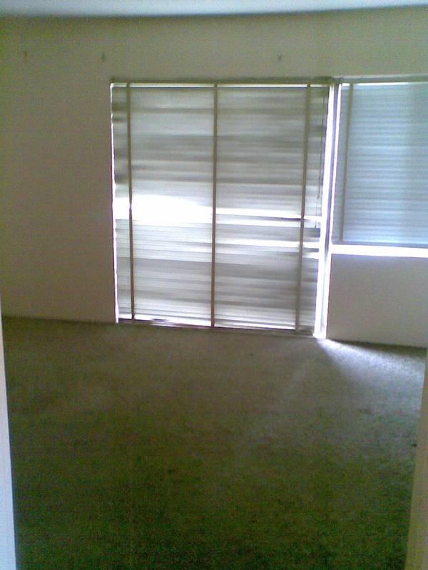 2 BEDROOM GEM Picture 3