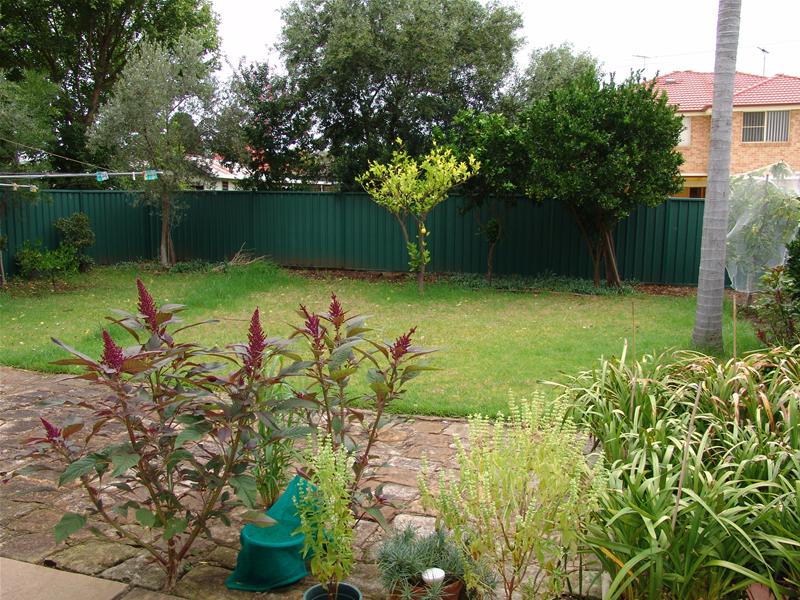 Large Brick Home Open 1pm-1.30pm Sat Picture