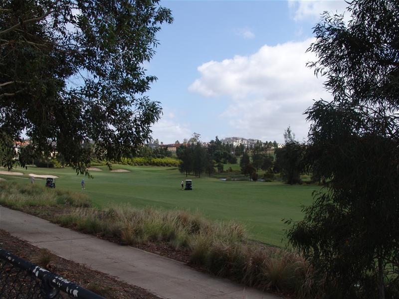 Vacant Block Waiting To Be Built On Picture 2