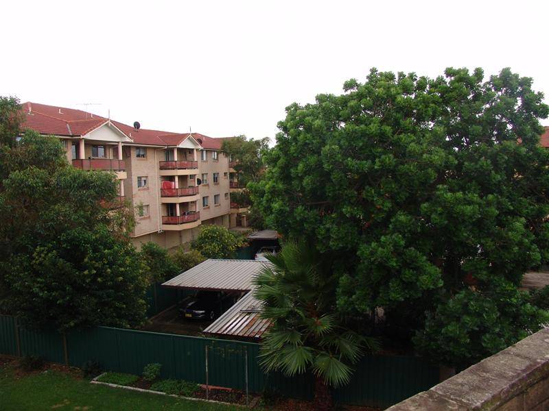 Norfolk Street Circle This One! Picture 1