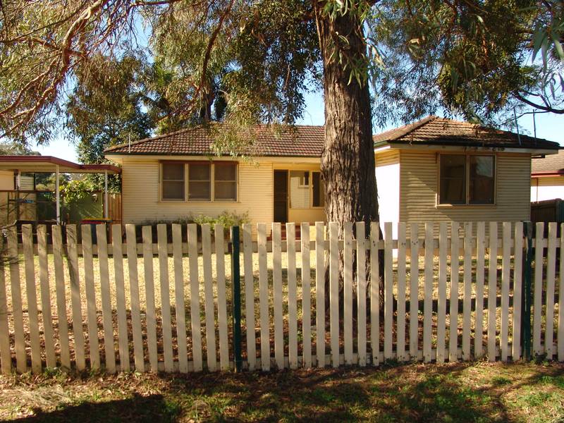 RENOVATED DELIGHT Picture 2