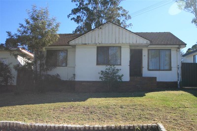 Great Starter Picture