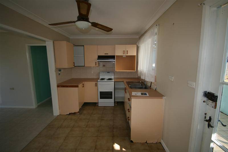 Great Starter Picture 2