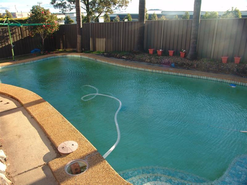 First Home Buyer or Investor Special Picture 2