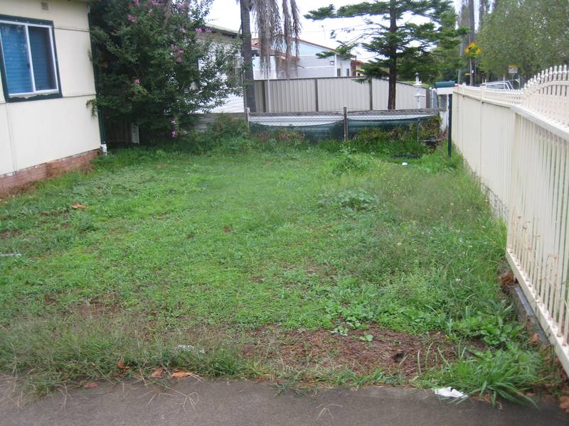 IDEAL STARTER Picture 2