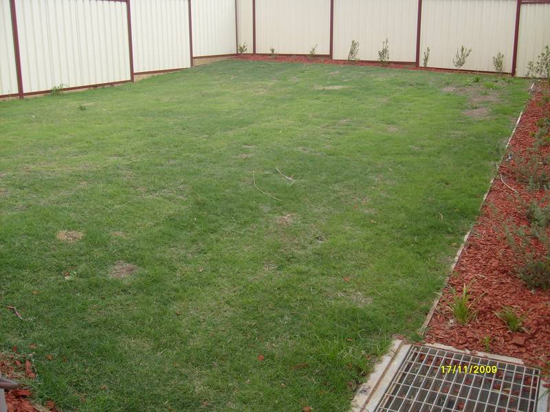 Brand New
Available 24/11/2009 Picture 2