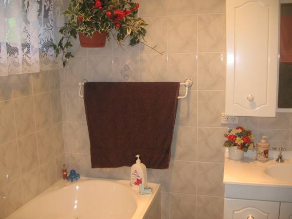 CUL - DE - SAC BEAUTY Picture 3