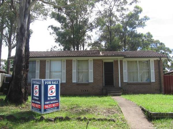 Just Starting Out Picture 1