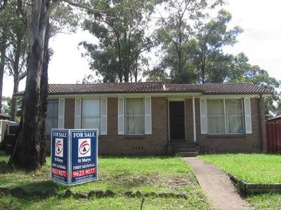 Just Starting Out Picture