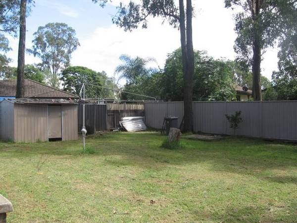 Just Starting Out Picture 3