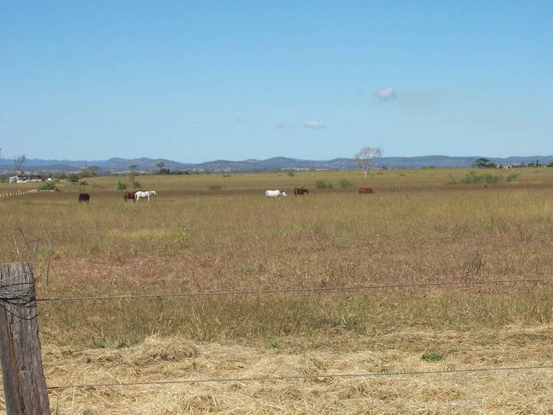 Vacant Land Picture 2