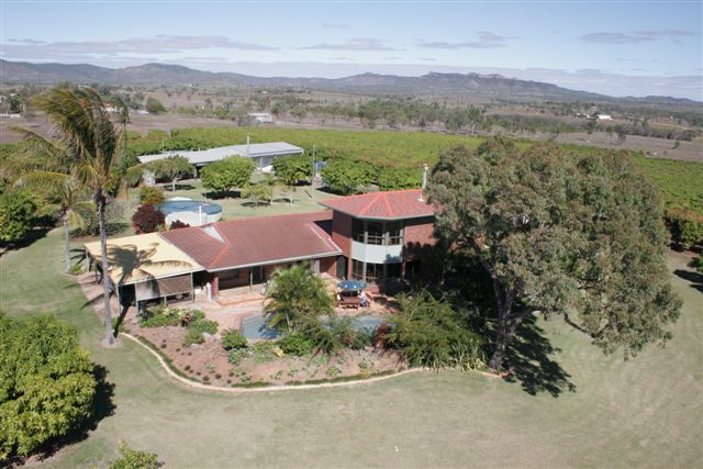 80 Acres ~ Woling Mango and Avocado Orchid Picture 2