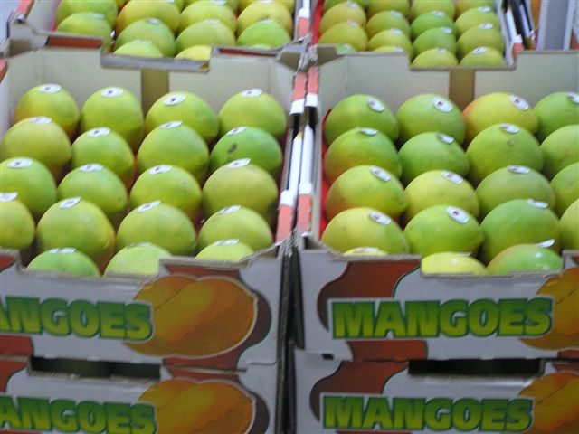 80 Acres ~ Woling Mango and Avocado Orchid Picture 3