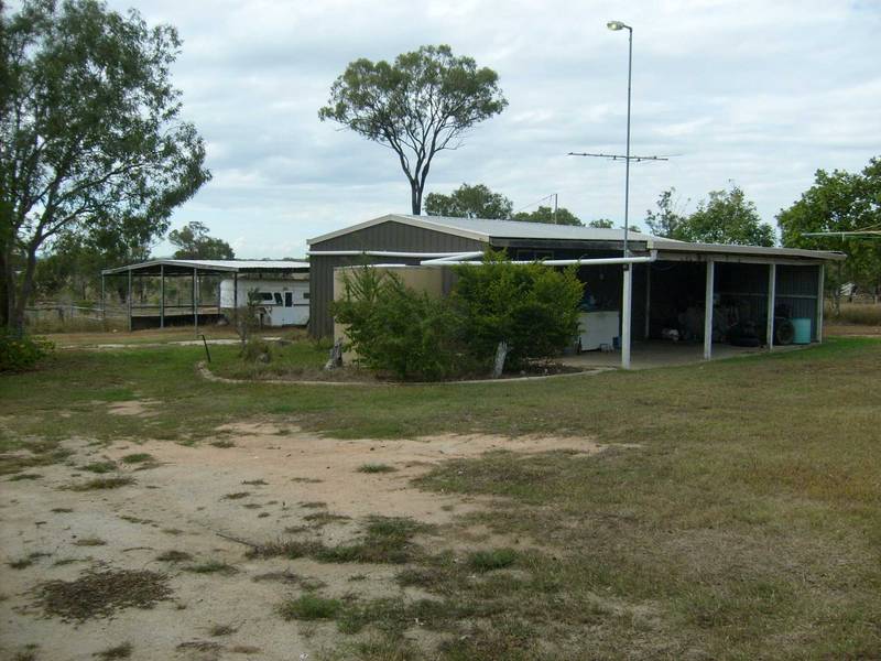 Horse Heaven Picture 2