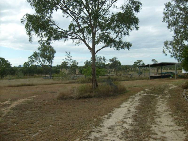 Horse Heaven Picture 3