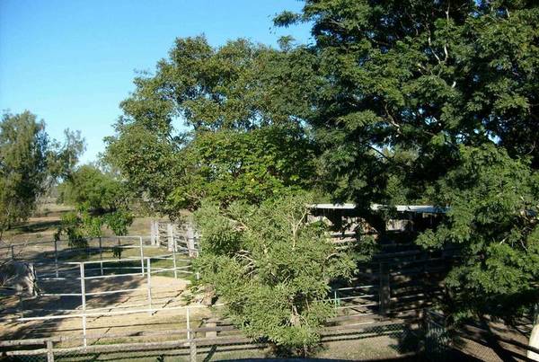 Horse Stables ~ Home Minutes To Town Picture