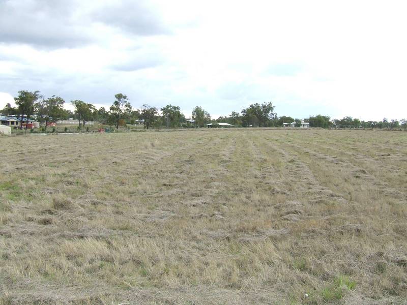 2 Acres With Power Picture 2