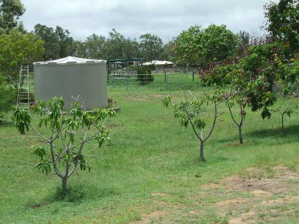 Horse Lovers Dream Picture Horse Lovers Dream Picture