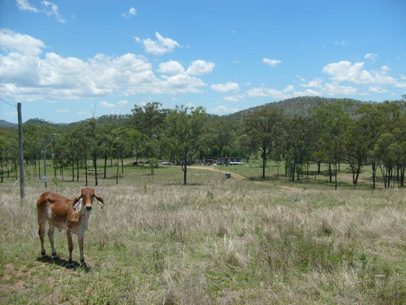 Peaceful Living In The Country Picture 2