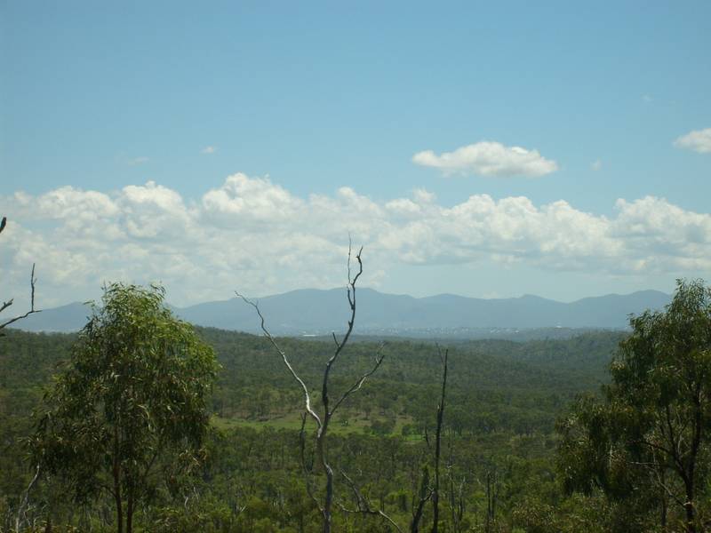 Priced Right Picture 1