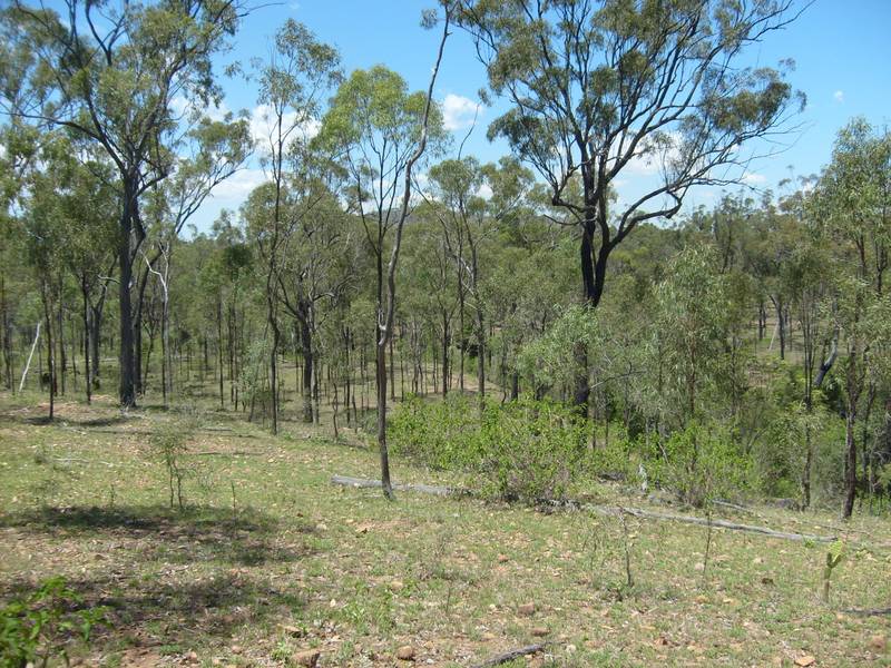 Priced Right Picture 2