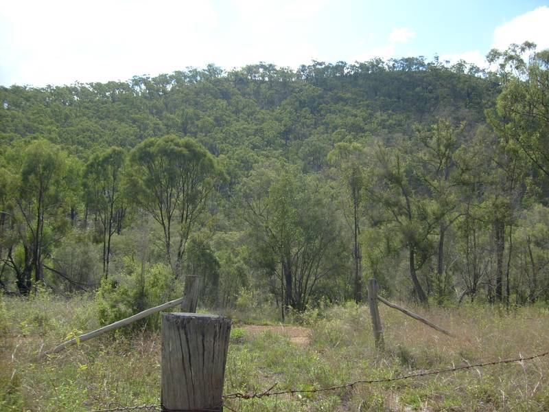 Buy a Mountain Picture 1