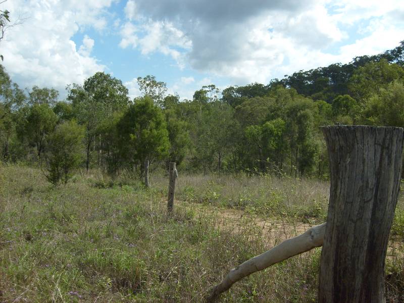 Buy a Mountain Picture 2