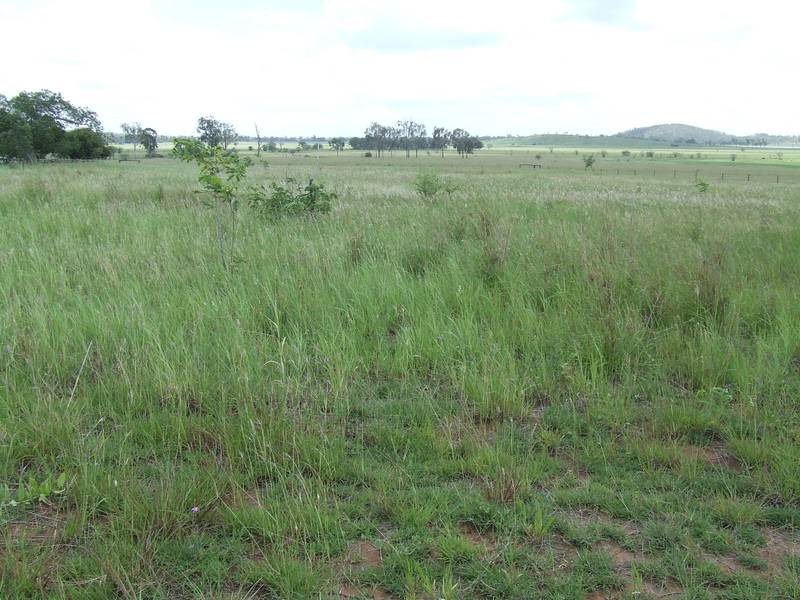 Bare Block With Views Picture 1