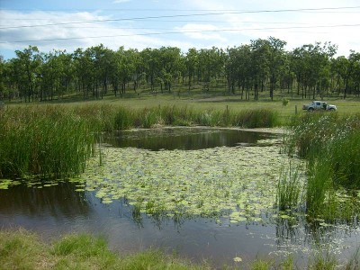 160 Acres of Prime Rural Land Picture