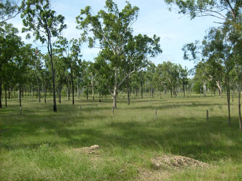 160 Acres of Prime Rural Land Picture 3