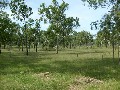 160 Acres of Prime Rural Land Picture