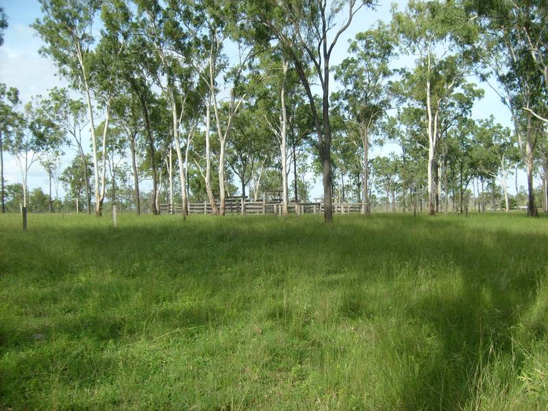 160 Acres of Prime Rural Land Picture 2