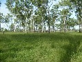 160 Acres of Prime Rural Land Picture