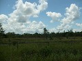 7 ½ Acres in Gracemere Picture